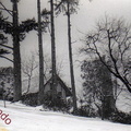 1956 la storica nevicata 1 ( foto Brupis )