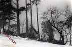 1956 la storica nevicata 1 ( foto Brupis )