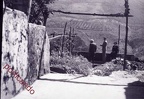 1953 il giardino della casa materna a Pertosa