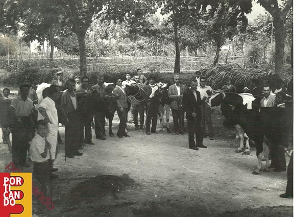 1932 mercato boario a Sanfrancesco (foto di Francesco Nicoli )