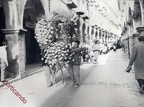 1959 funerali canonico Luigi Avagliano 02 lungo il corso