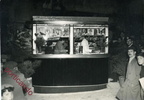 1952 chiosco Pinto inaugurazione