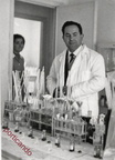 LAVORO