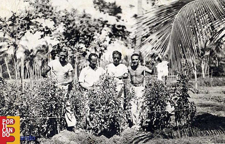1949 Vittorio Lodato venezuela esperimento con pomodori