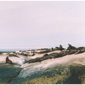 2000 circa ANTONIO SARTORI E IOLANDA PINTO colonia di foche CAPE TOWN SUB AFRICA