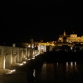 2012 maggio la mezquita di cordoba vista dal ponte romano