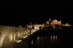 2012 maggio la mezquita di cordoba vista dal ponte romano