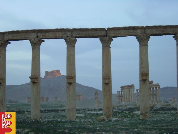 Palmira -Siria-