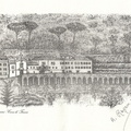 Cappuccini 2005