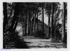 1930 Serra