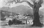 SanCesareo e l'albero di novecento anni