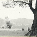 PARISIO-1 (1)