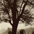 PARISIO-1 (11)