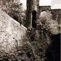 PARISIO-1 (21)