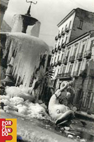 PARISIO-1_(7).jpg