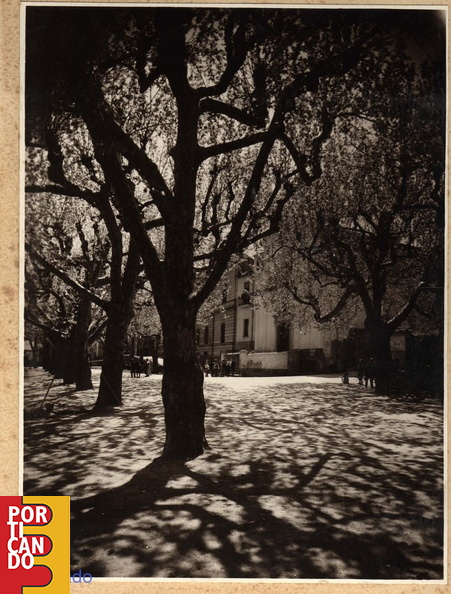 PARISIO-2.jpg