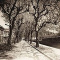 PARISIO-1 (9)