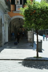 IMG 5852