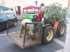 Pertosa 2015 1 luglio (31)