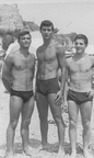 amici 1950