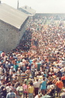 2000 avvocata foto Di Serio (2)