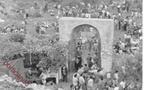 2000 avvocata foto Di Serio (22)