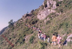 2000 avvocata foto Di Serio (24)