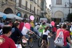 ciclamini 1 ( foto di angelo tortorella )