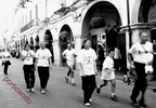 scetajorde 2008