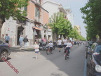 scetajorde 2010