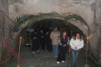 Presepevivente (1)