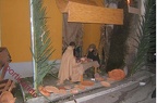 Presepevivente (31)