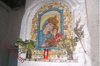 Presepevivente (29)