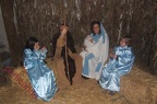 Presepevivente (37)