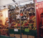 1995 circa boutique della frutta di angela vacchetti corso italia 204