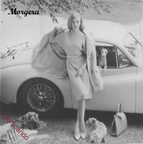 1960 circa cardogs
