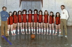basket