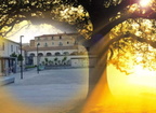 piazza passaro e sole e albero